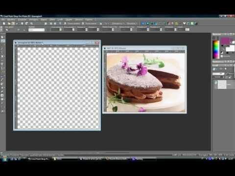 Guida all’uso ottimizzato di PaintShop Pro