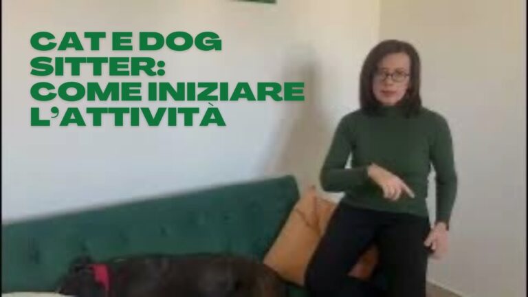 Guida per diventare un cat sitter efficace