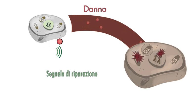 I vantaggi aziendali di Expedia