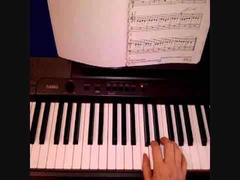 Maestro del Tip Tap: Un virtuoso dell’arte del ballo