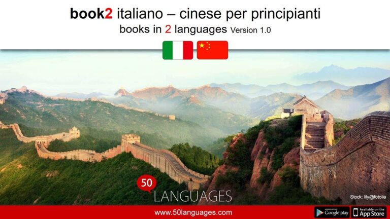 Lezioni di Cinese: Guida Ottimizzata per l’Apprendimento