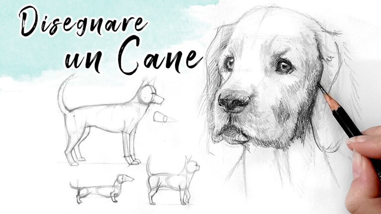 Guida per disegnare un cane realistico