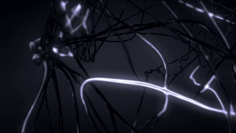 Il Nucleo 1: Fondamenti Essenziali e Ottimizzazione