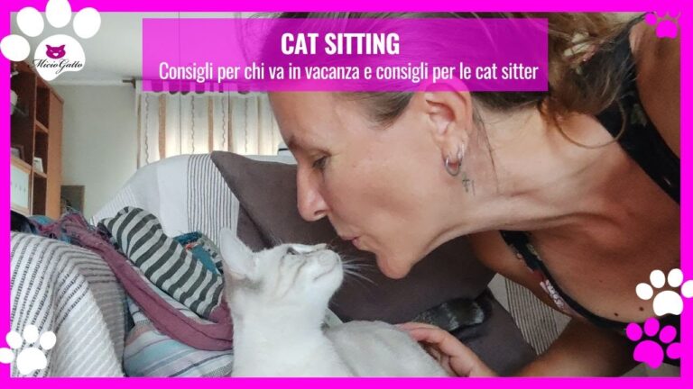 I costi del cat sitter: un’analisi ottimizzata