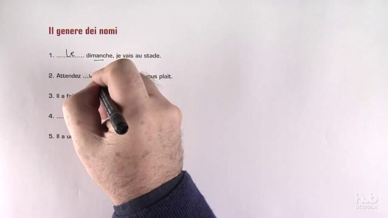 Analisi Grammaticale della Lingua Francese