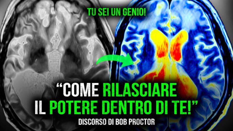 La Legge Universale: Guida Completa