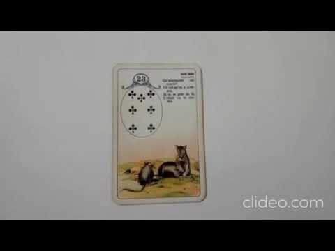 I migliori Topi Lenormand: Scopri le carte più potenti