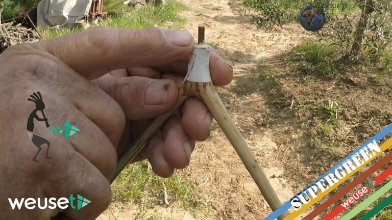 Il significato della radiestesia: una guida essenziale