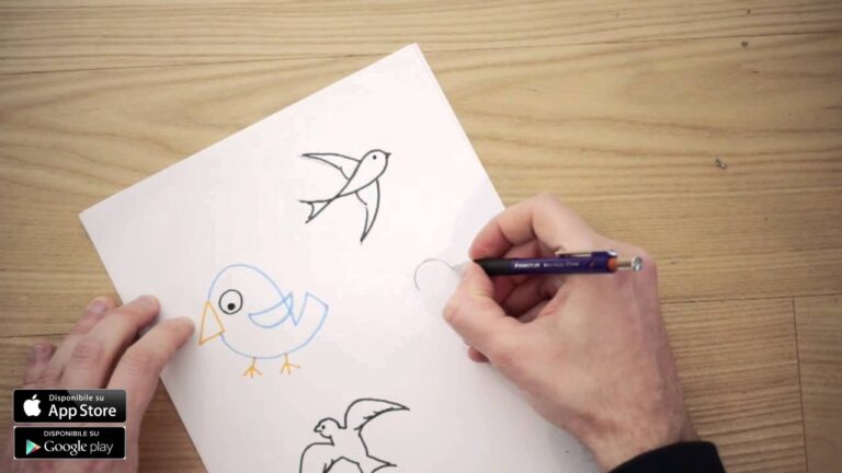 Guida ai Migliori Uccelli da Disegnare