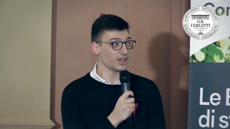 Studio Casonato: Il Partner Ideale per le Tue Esigenze Finanziarie