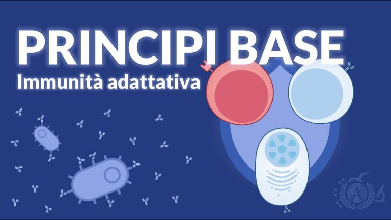 L’importanza dell’immunità acquisita: tutto quello che devi sapere