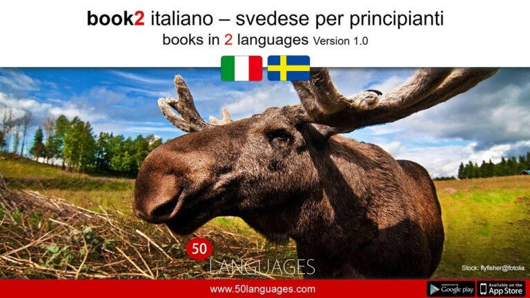 Guida Completa al Corso Svedese: Tutto Ciò Che Devi Sapere
